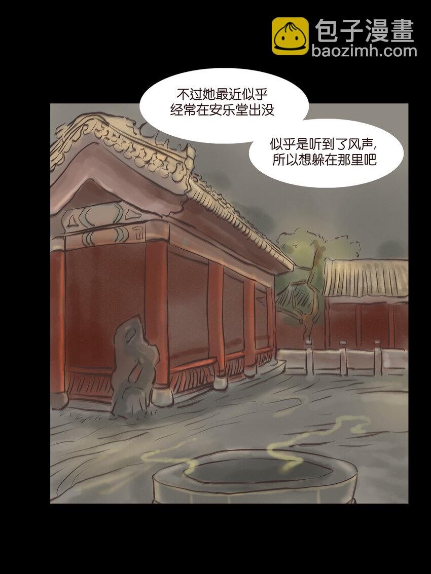 005 狸猫