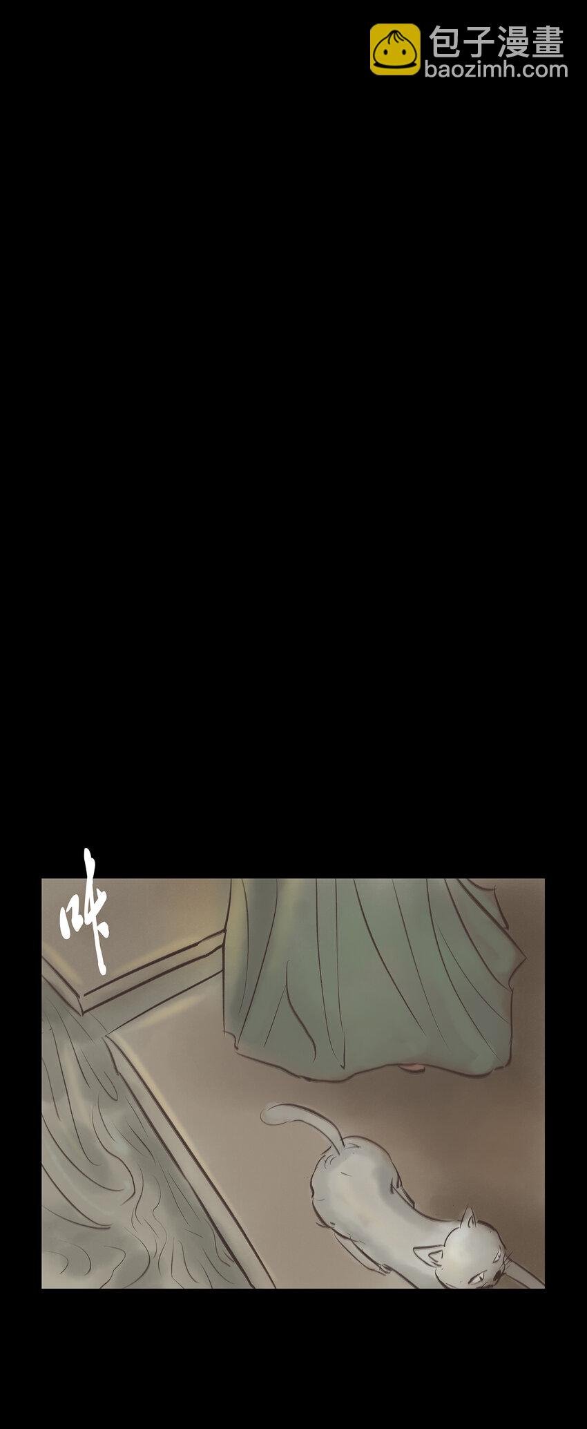 005 狸猫
