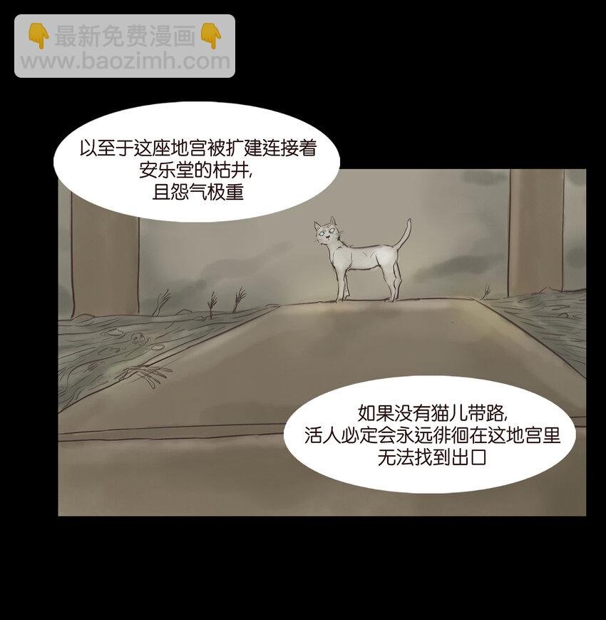 005 狸猫