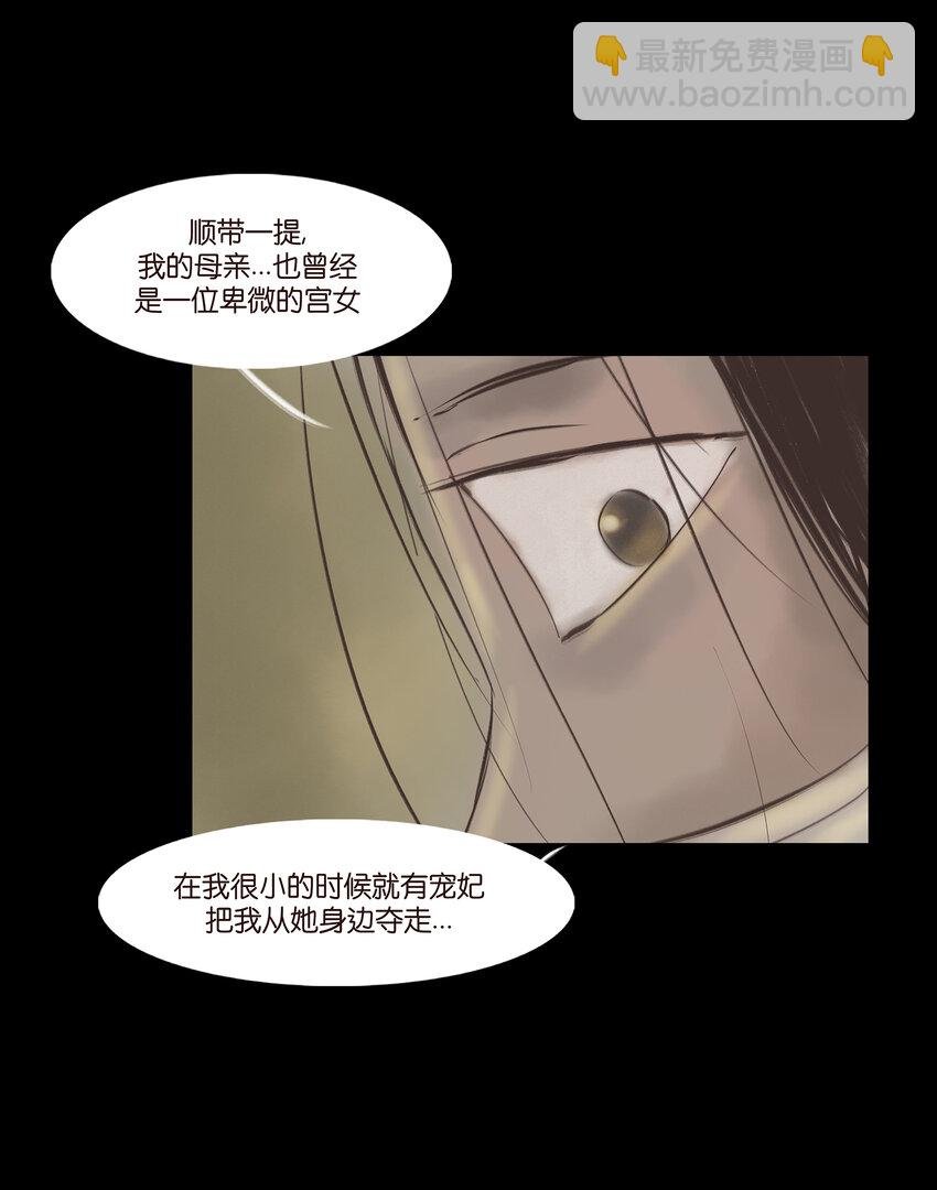 005 狸猫