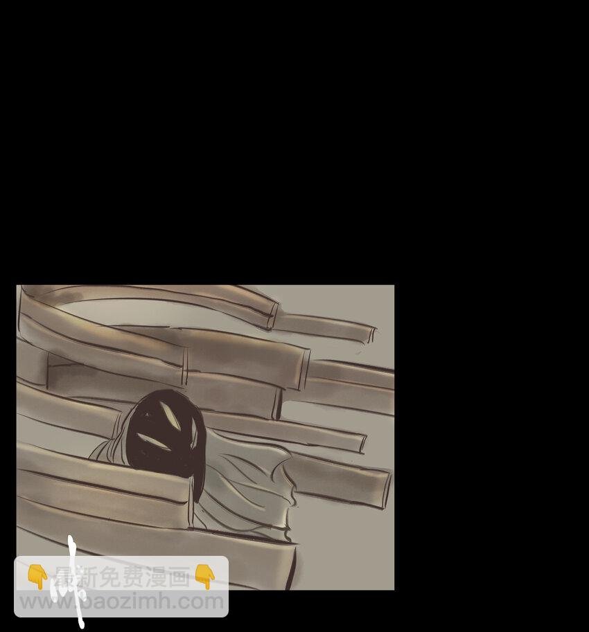 005 狸猫