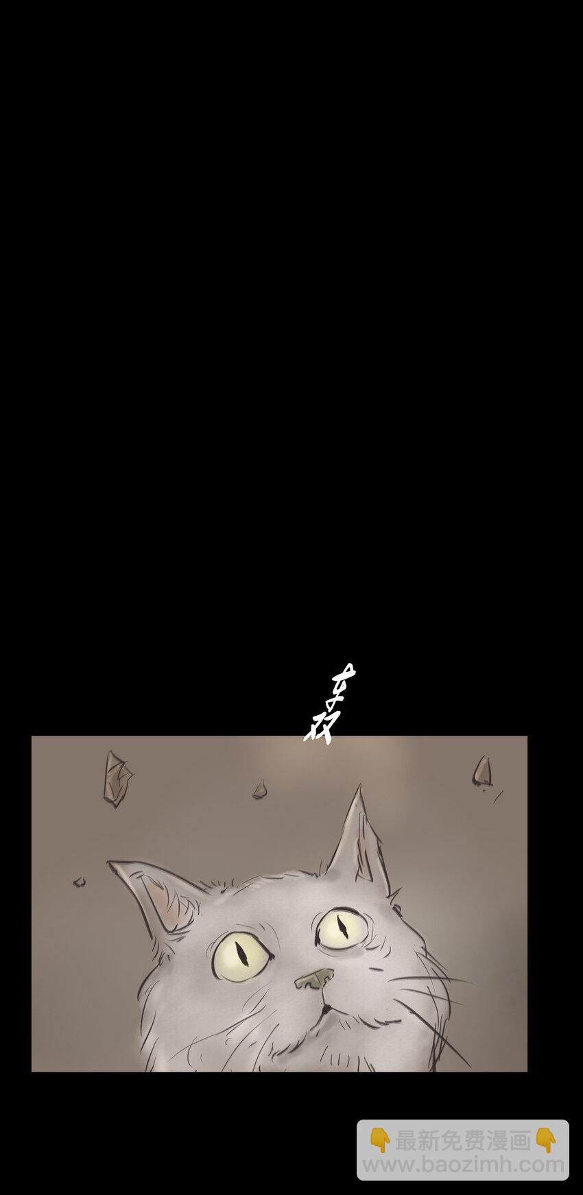 007 血雨