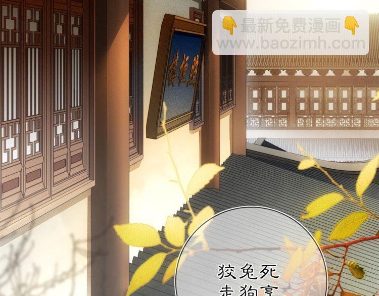第85话 妙哉妙哉