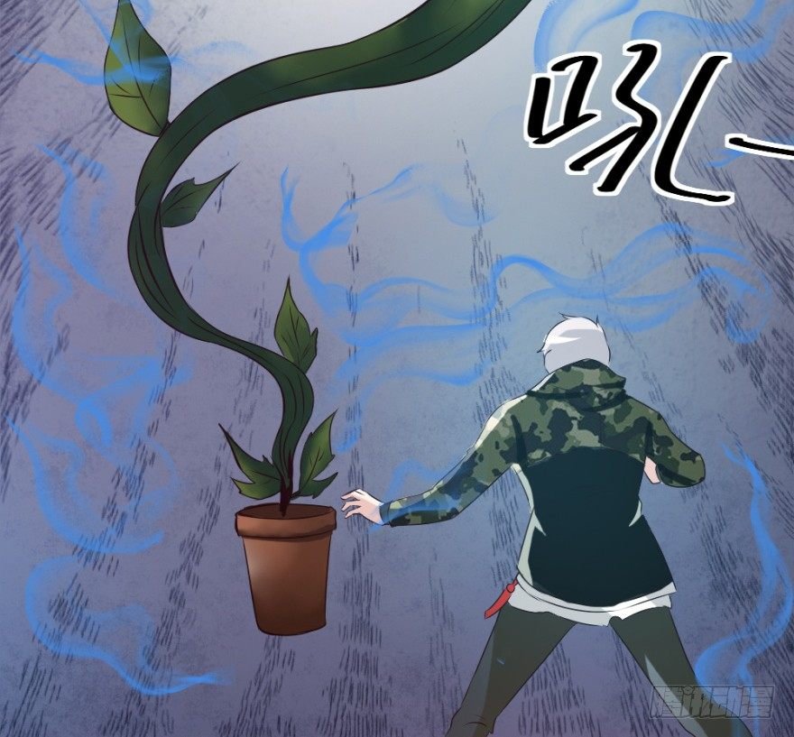 第十四回 仙女姐姐？