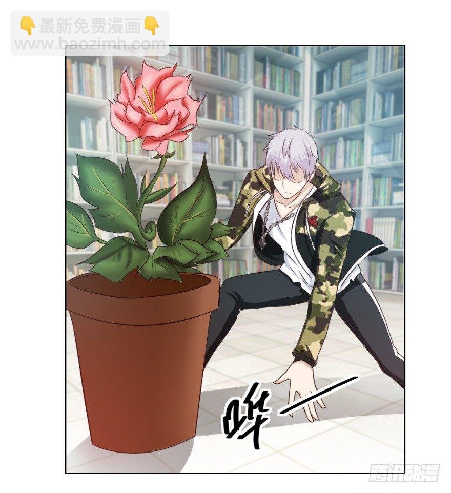 第十四回 仙女姐姐？