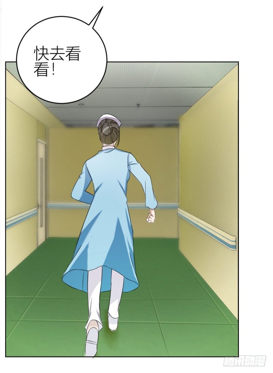 第二十九回 缘由