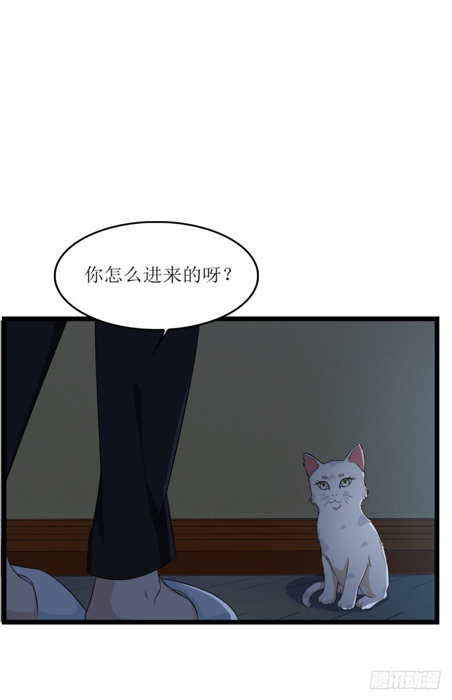 第七十九回 诡猫
