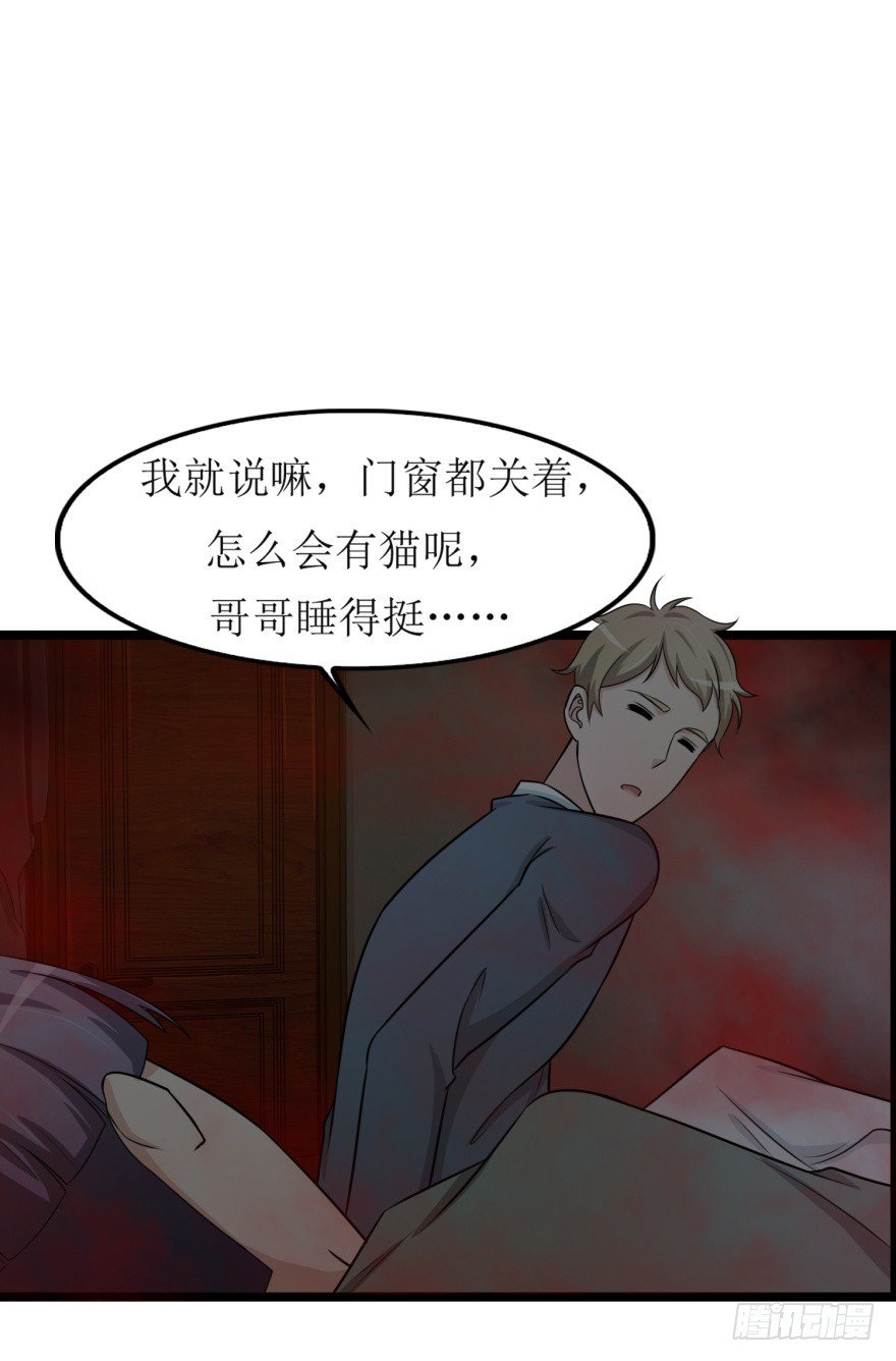 第七十九回 诡猫