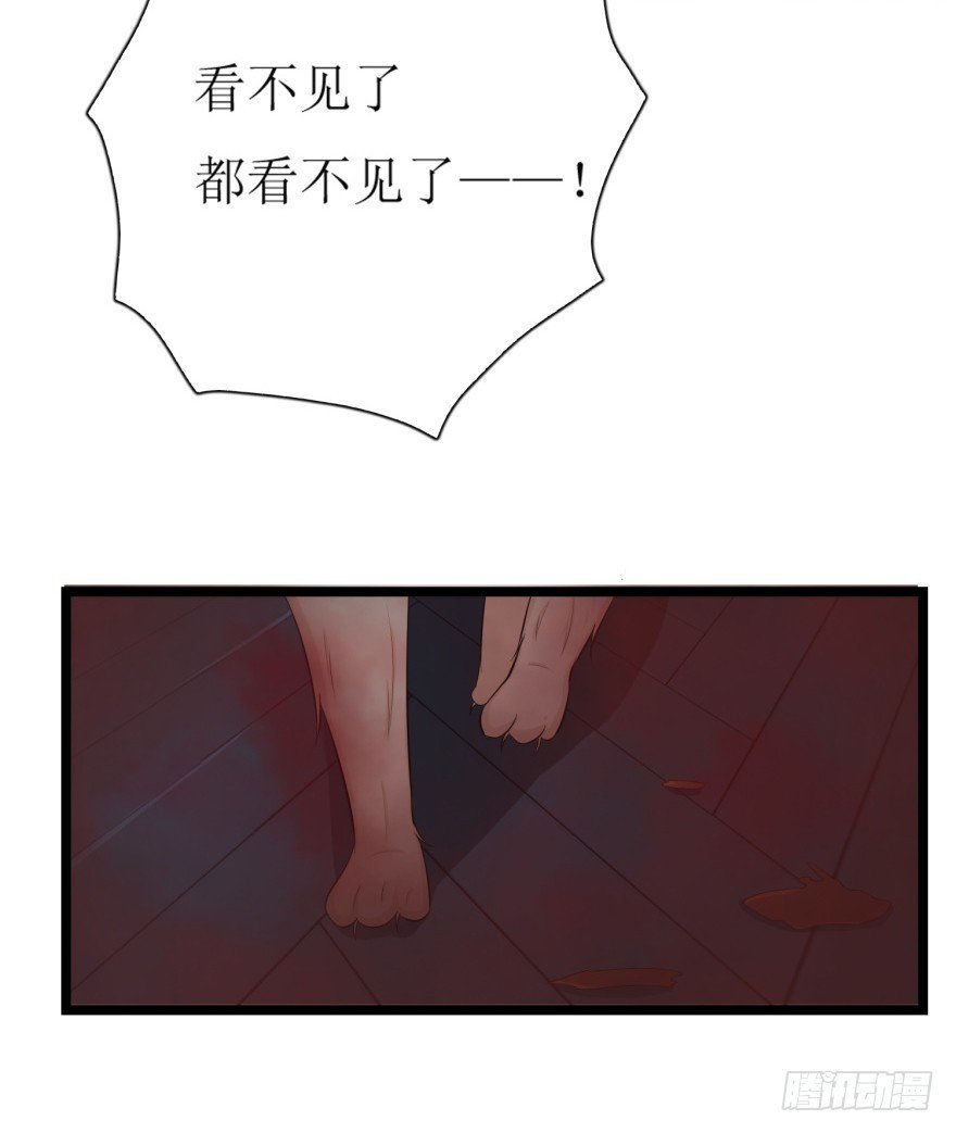第七十九回 诡猫