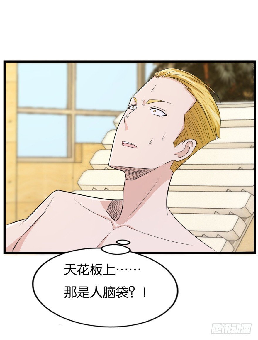 第八十一回 群猫
