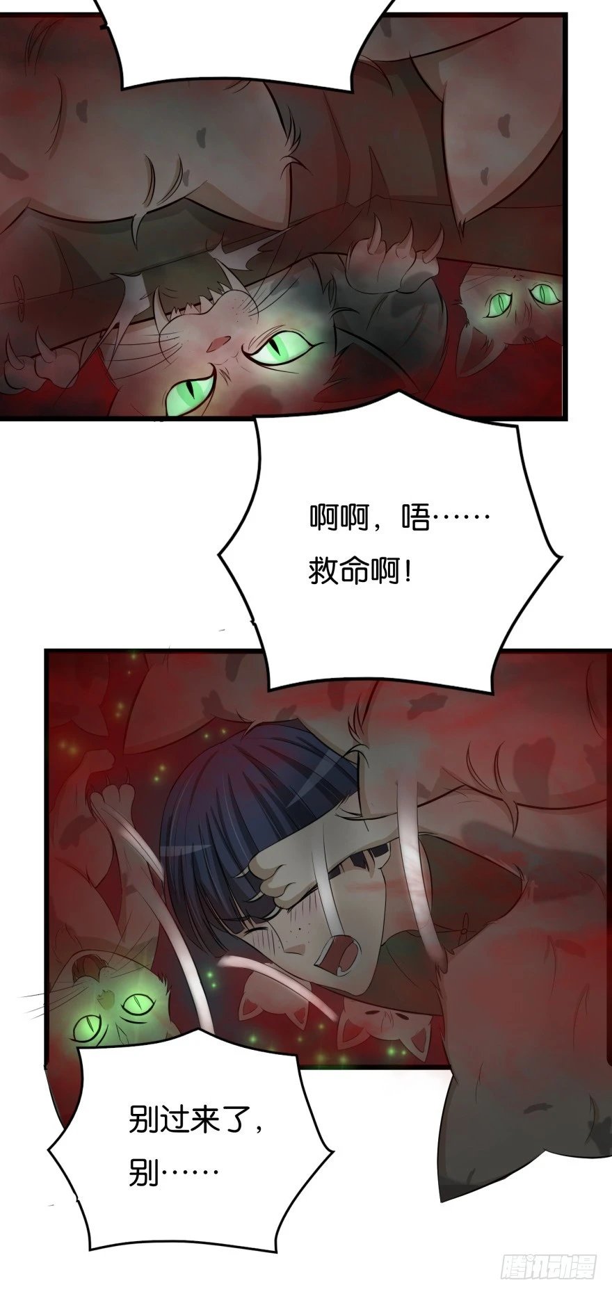 第八十一回 群猫