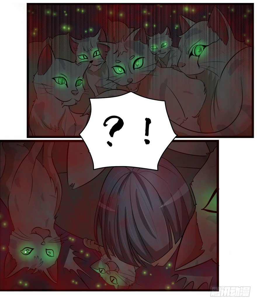第八十一回 群猫