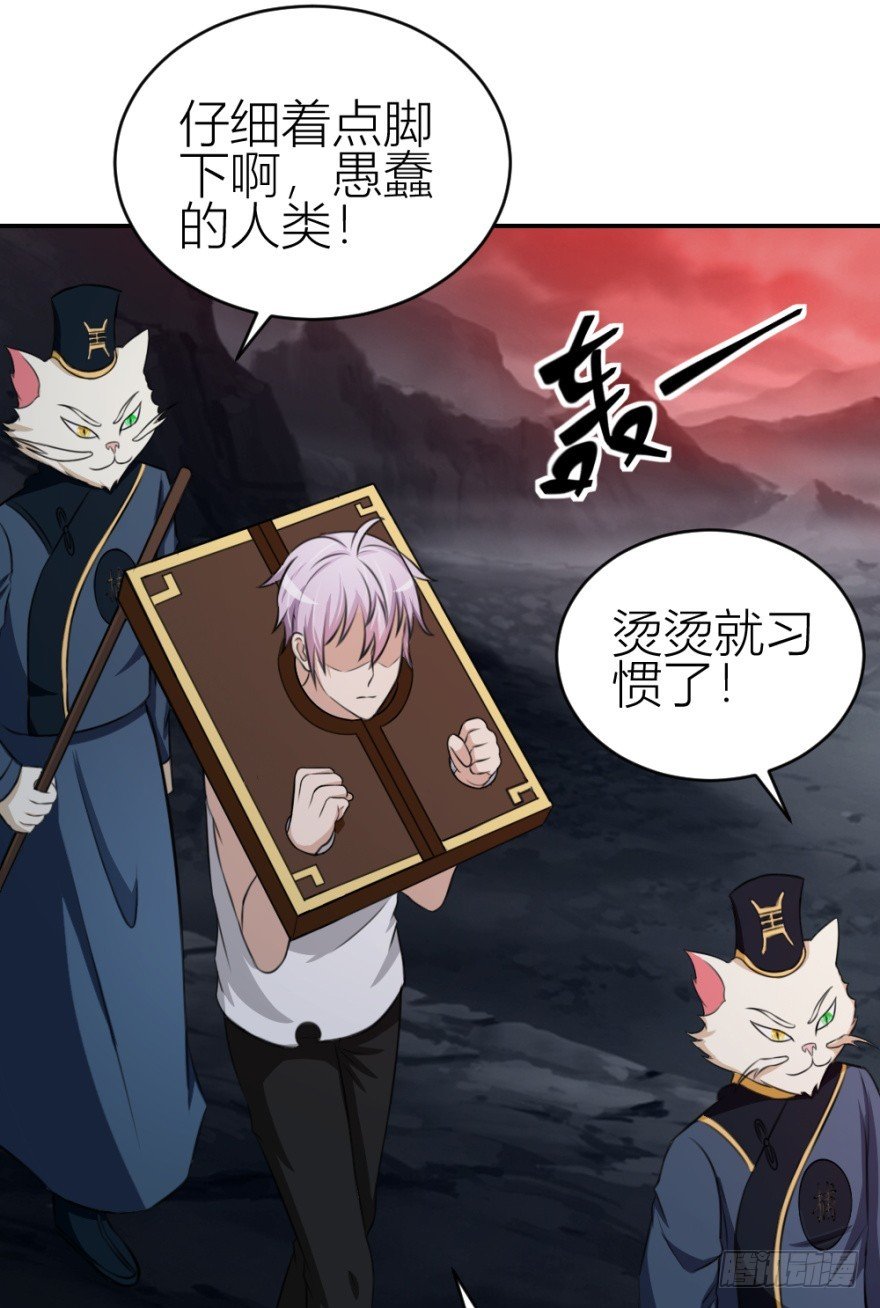 第八十六回 猫之地狱？！