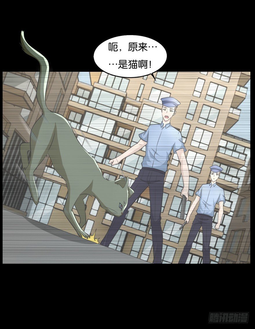 第九十一回 猫奴锦飞