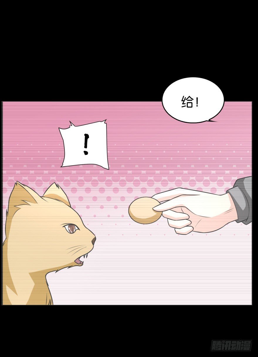 第九十一回 猫奴锦飞