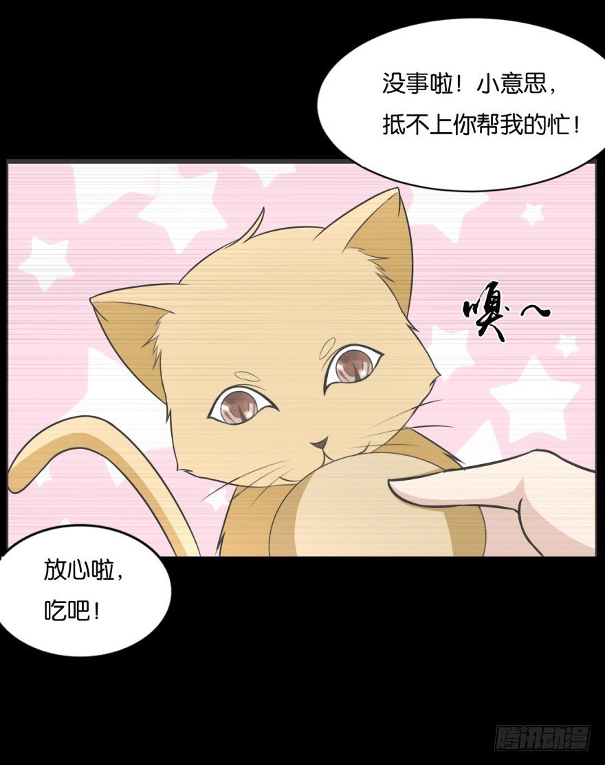 第九十一回 猫奴锦飞