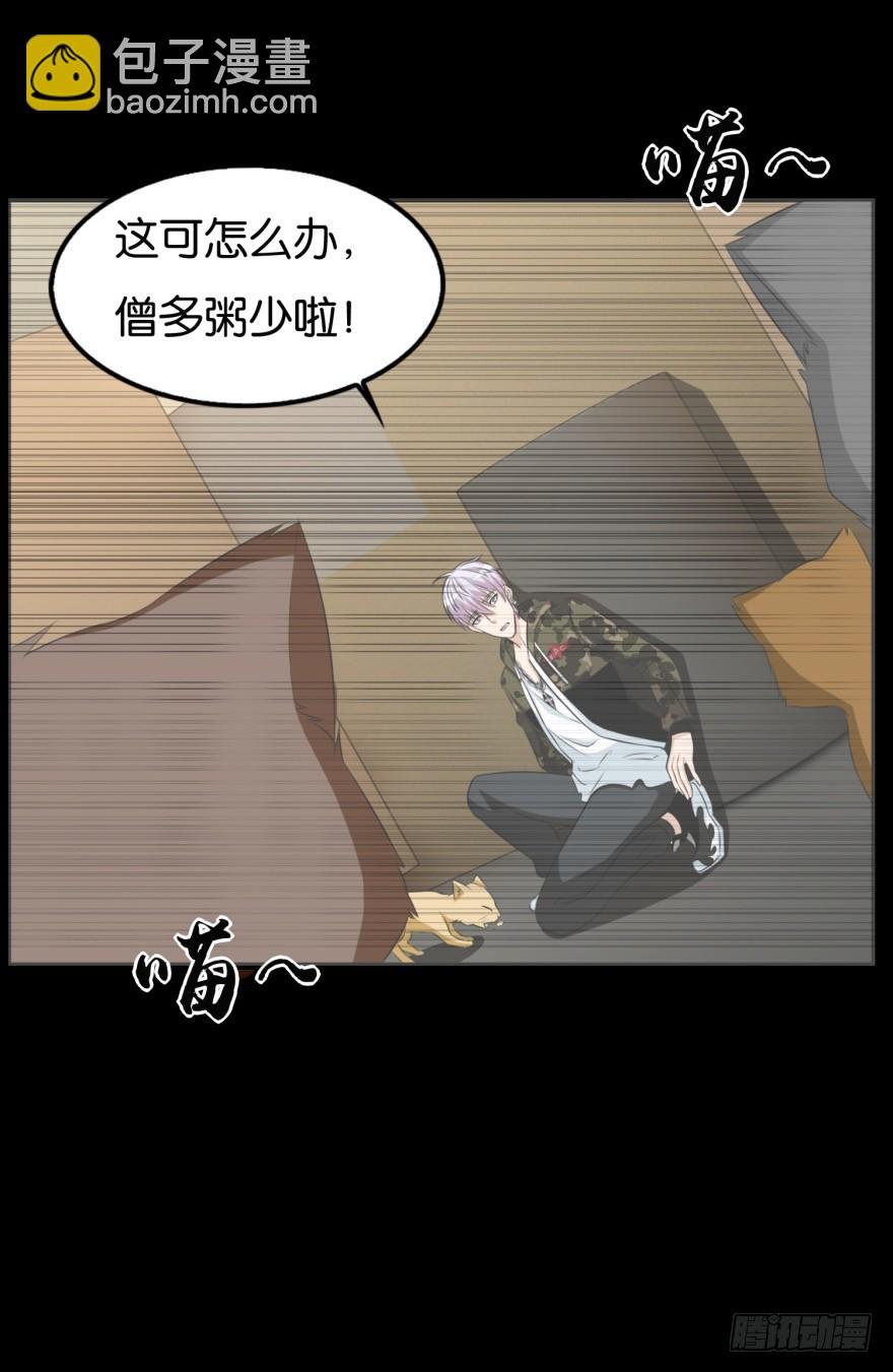 第九十一回 猫奴锦飞