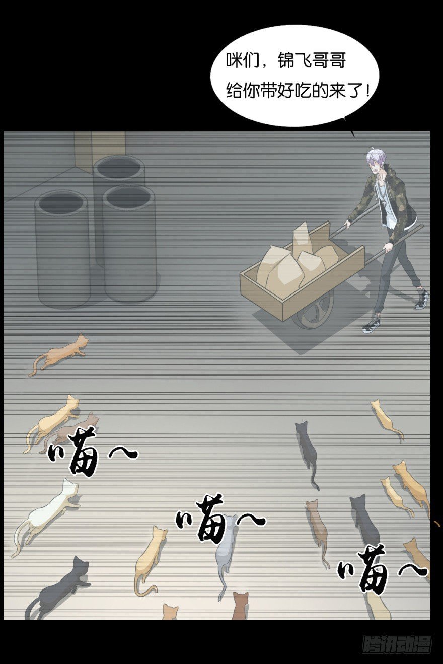 第九十一回 猫奴锦飞