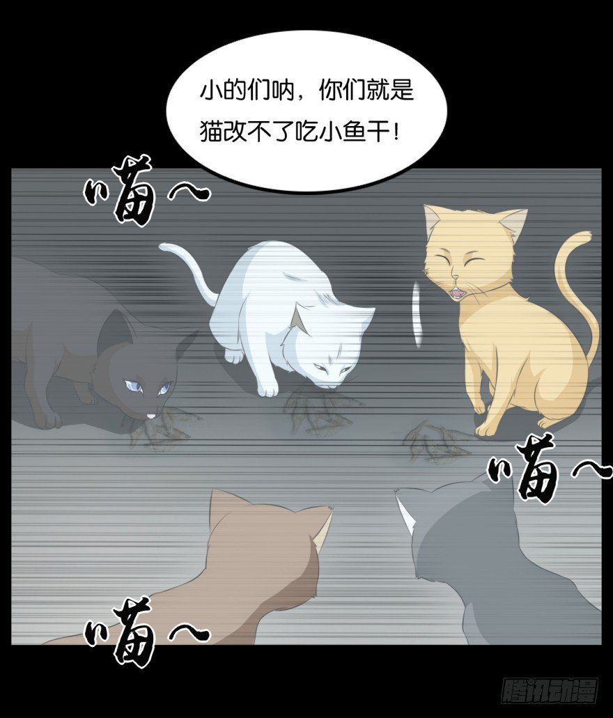 第九十一回 猫奴锦飞