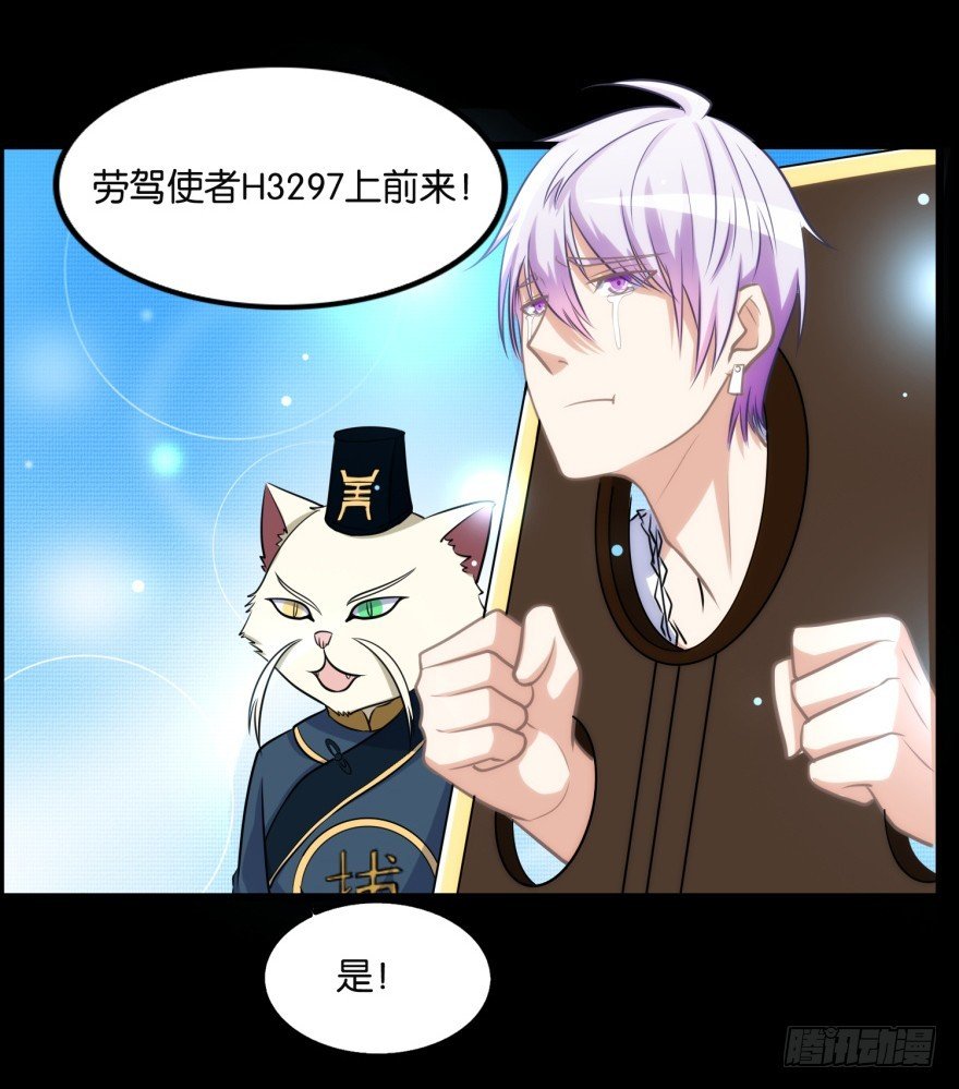 第九十一回 猫奴锦飞
