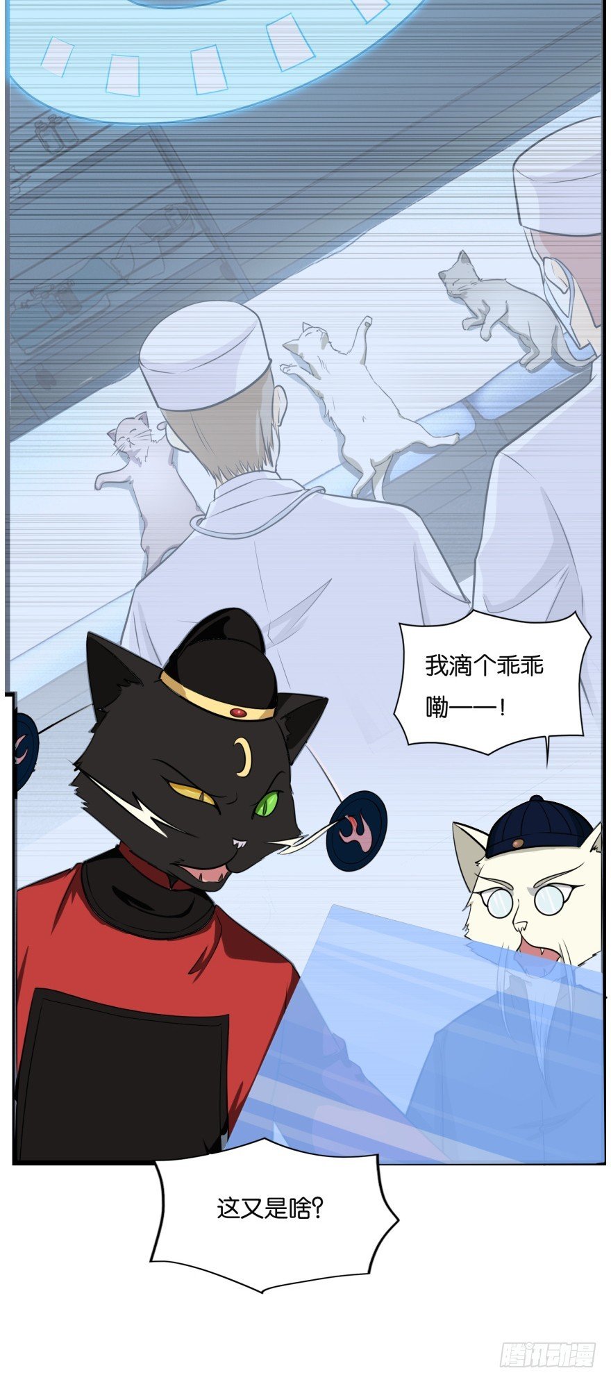 第九十一回 猫奴锦飞
