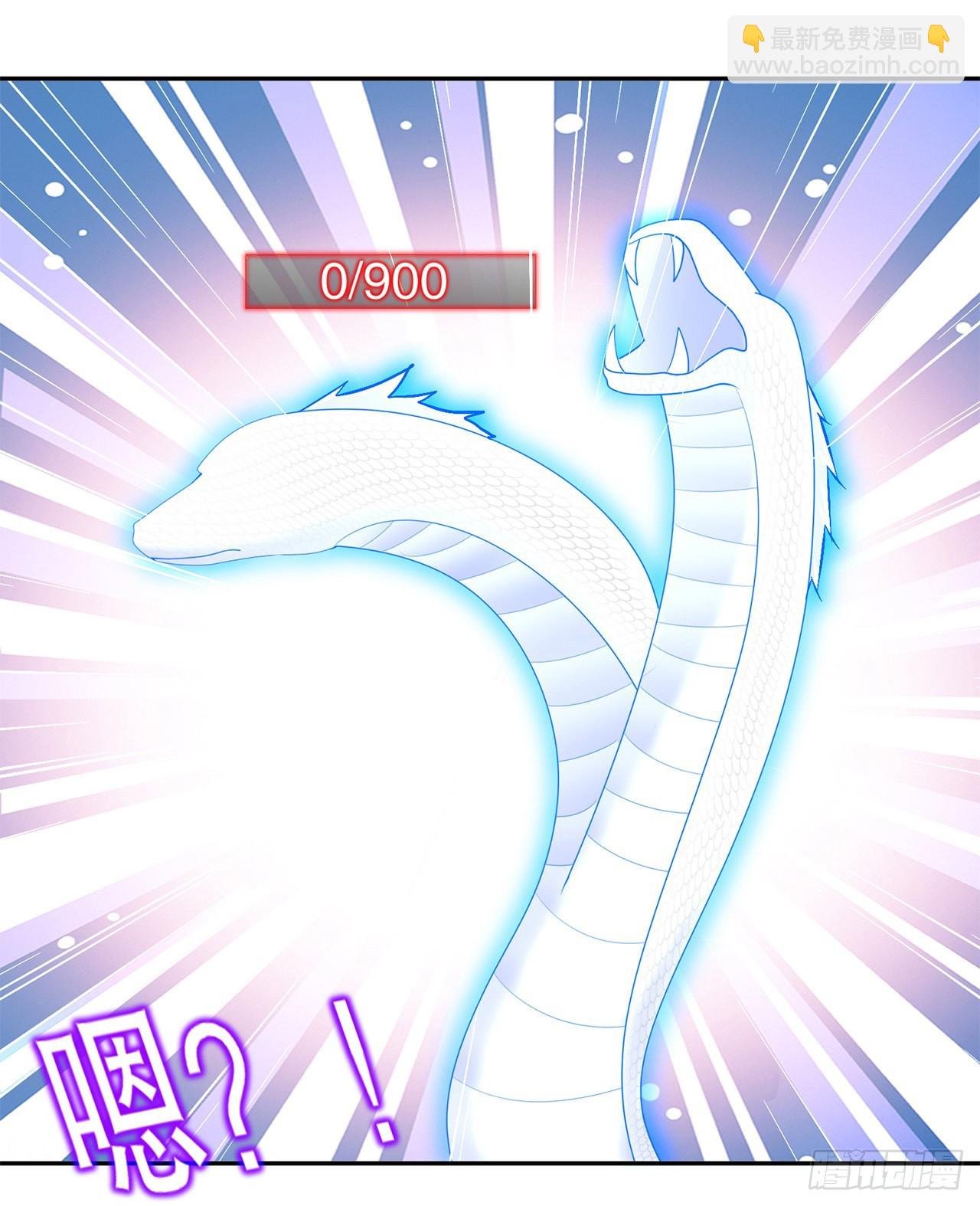 第78话 肉搏的算命师见过吗？