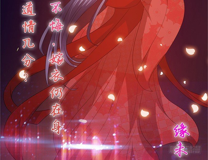 孤独的成全
