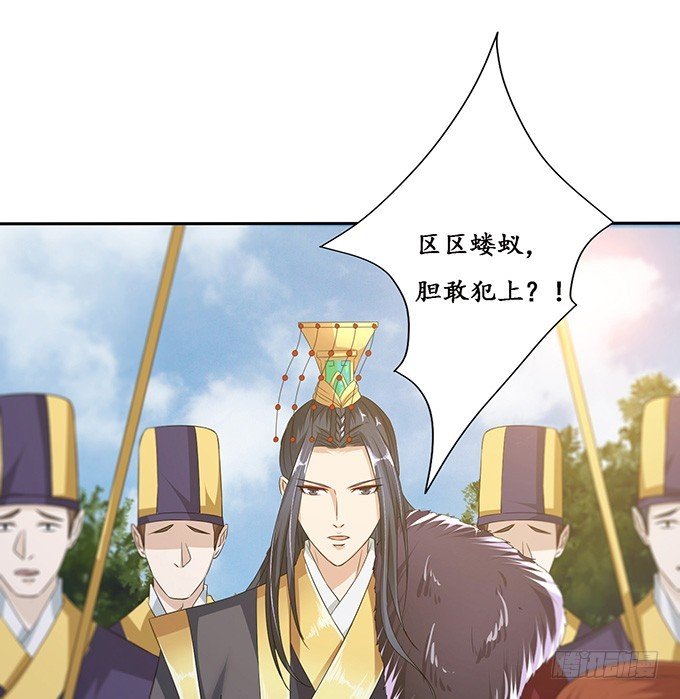 宠臣的心计