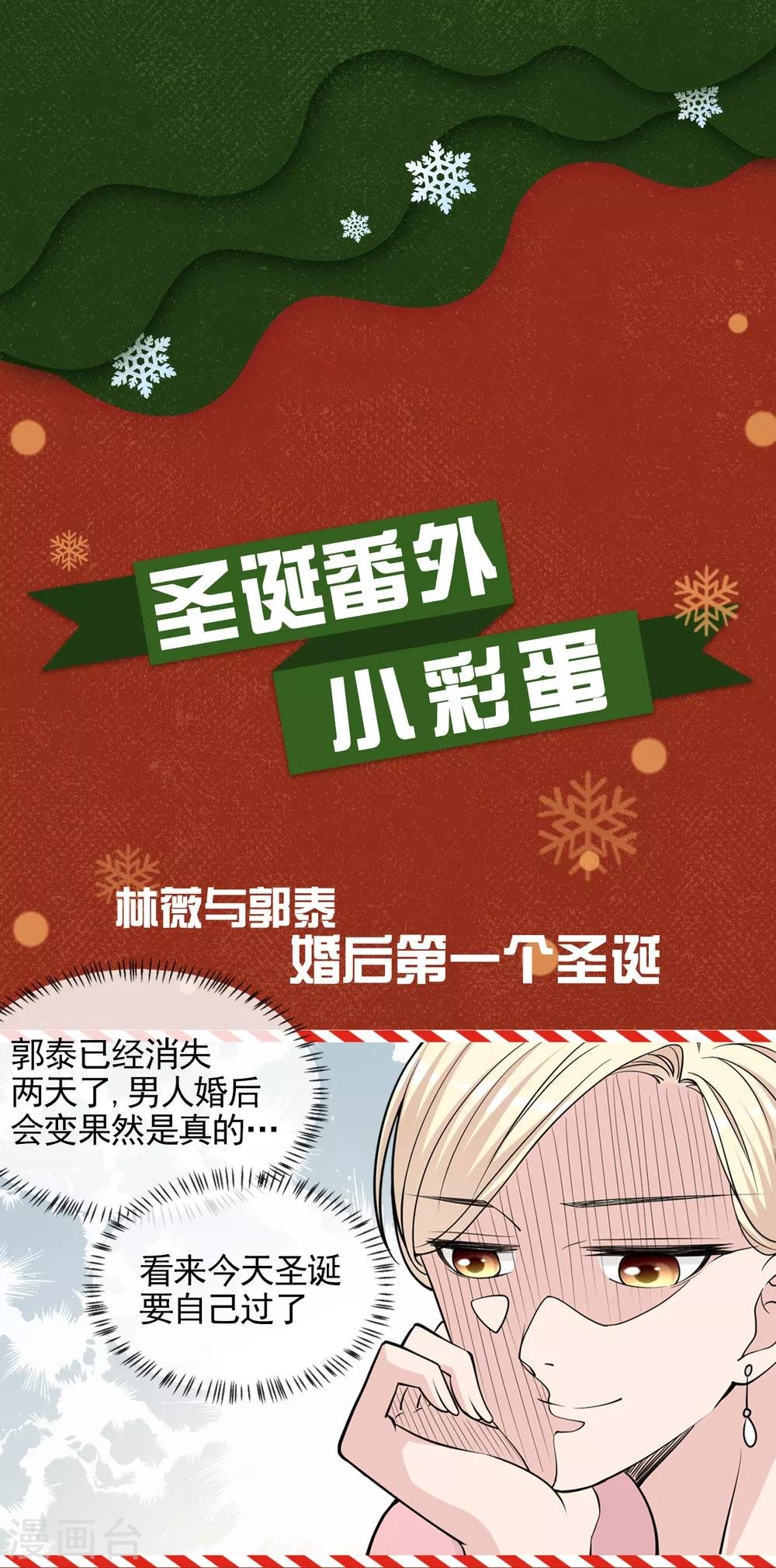 圣诞番外