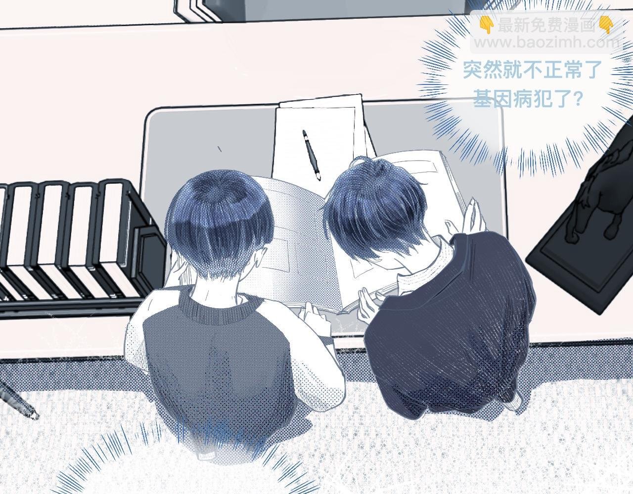 相册