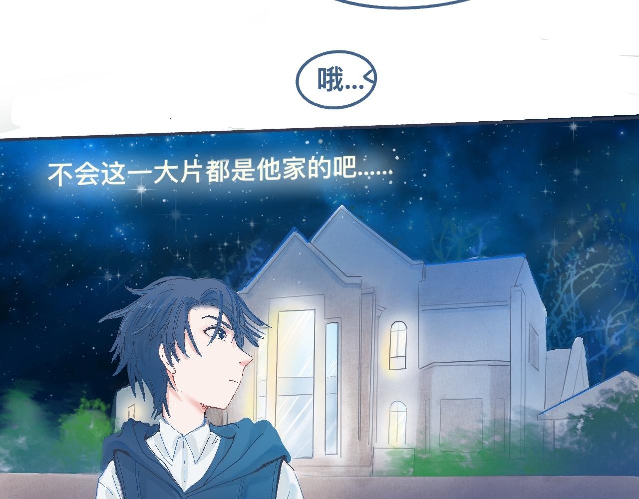 他的情况