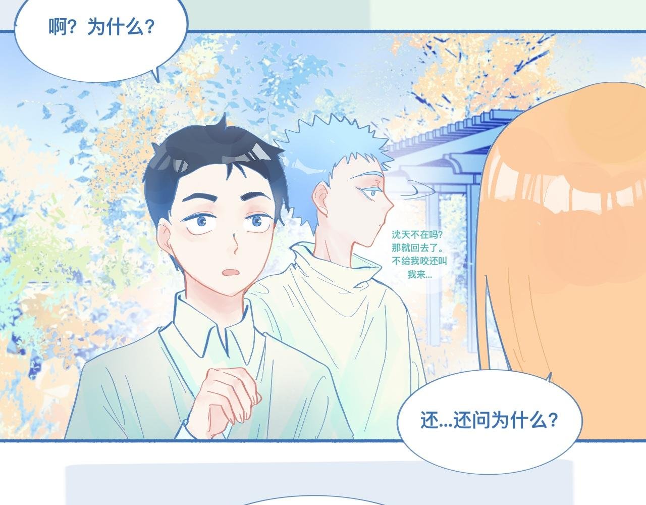 临时的剧本