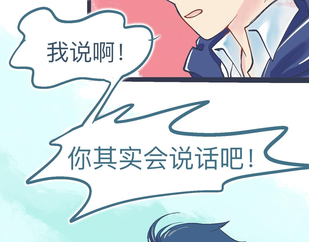 交流的碰撞