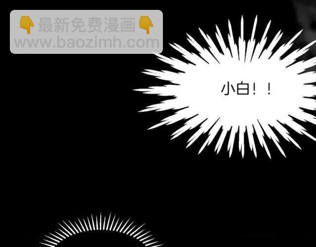 番外篇 小白回来了