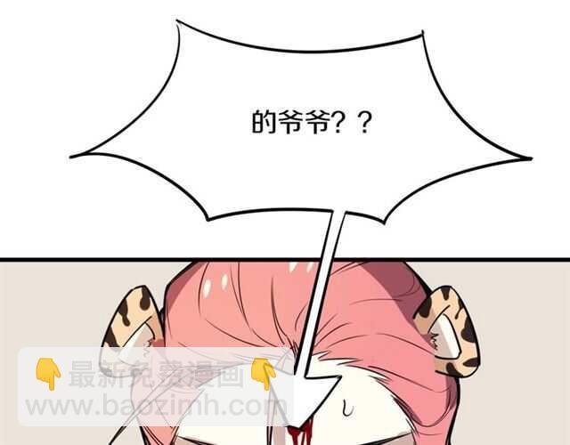 番外篇 小白回来了