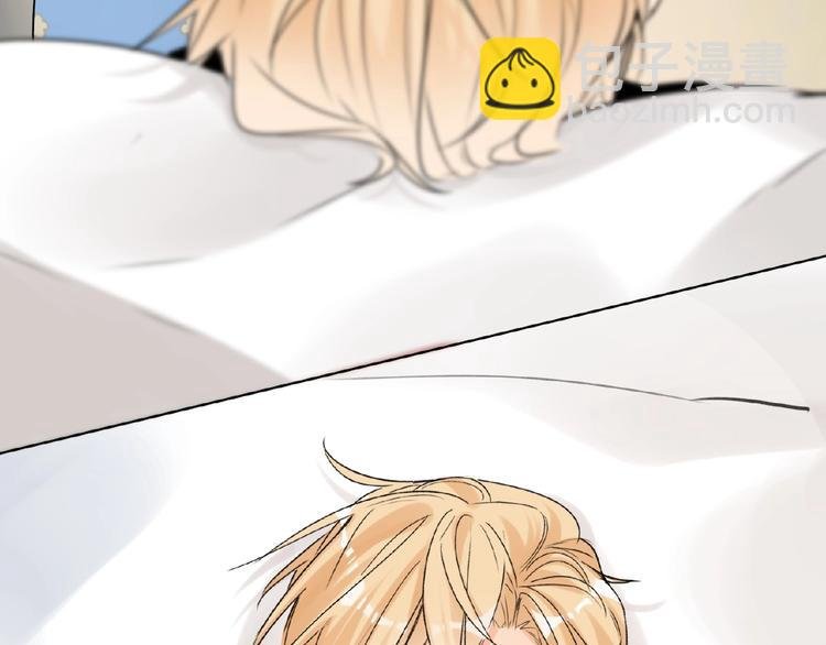 第36话 橄榄枝？