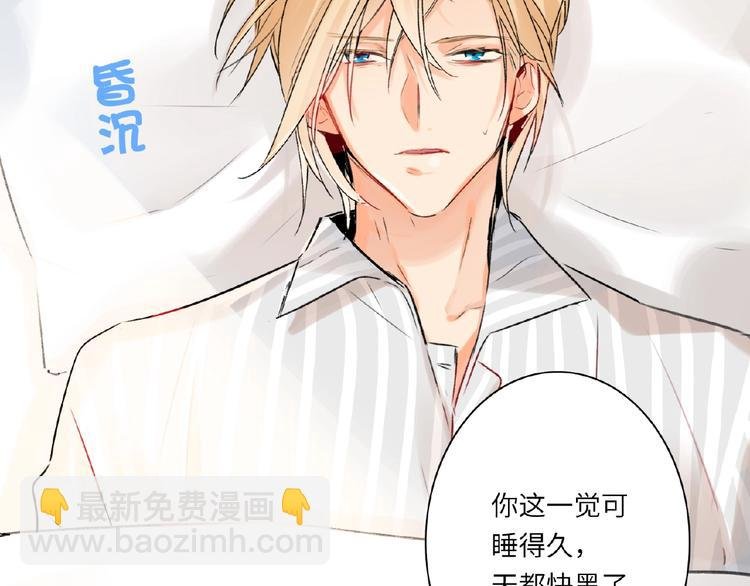 第36话 橄榄枝？