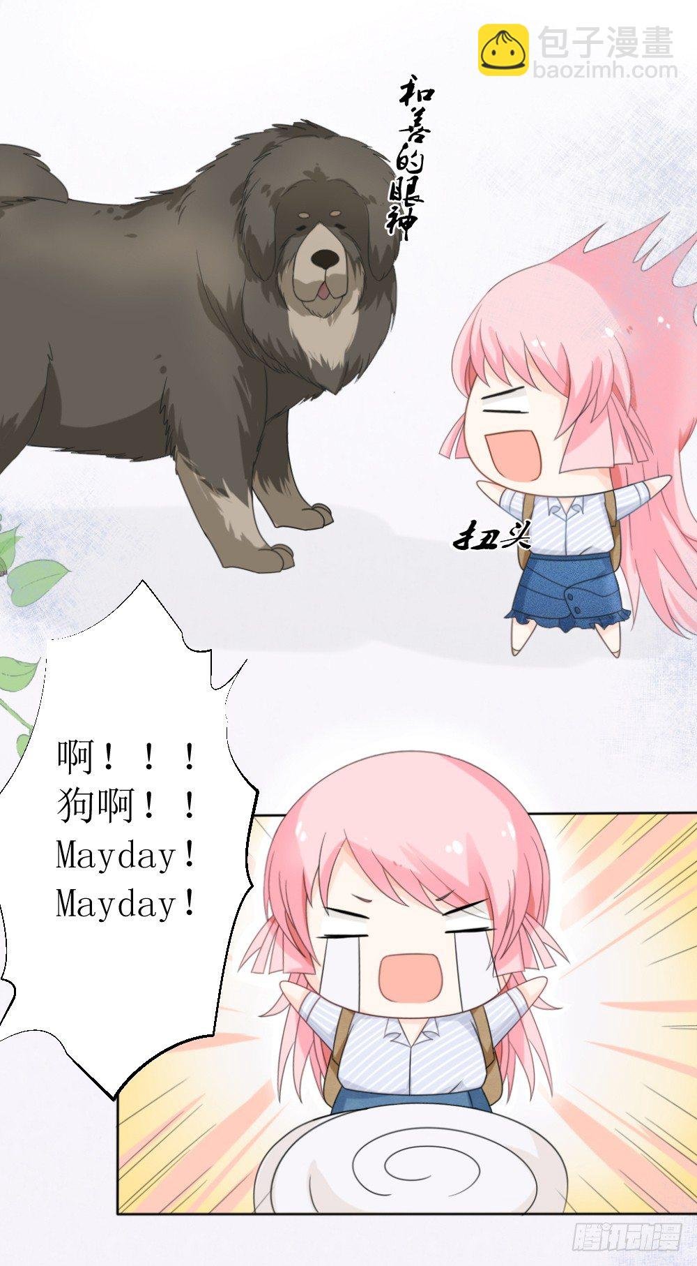 第15话 被狗毁掉的美好生活！