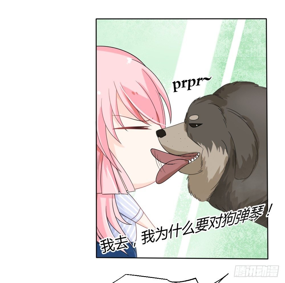 第15话 被狗毁掉的美好生活！