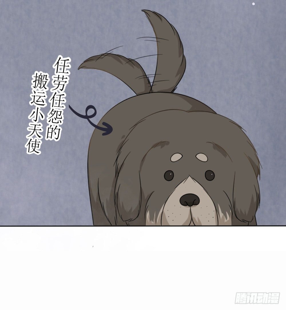 第16话 越狱失败，被狗活逮
