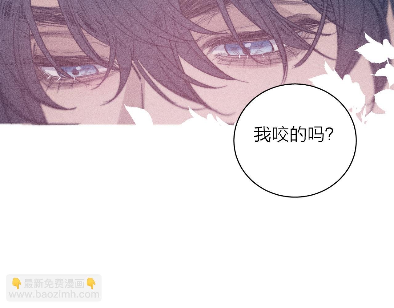 第五十三话 坏坏小狗