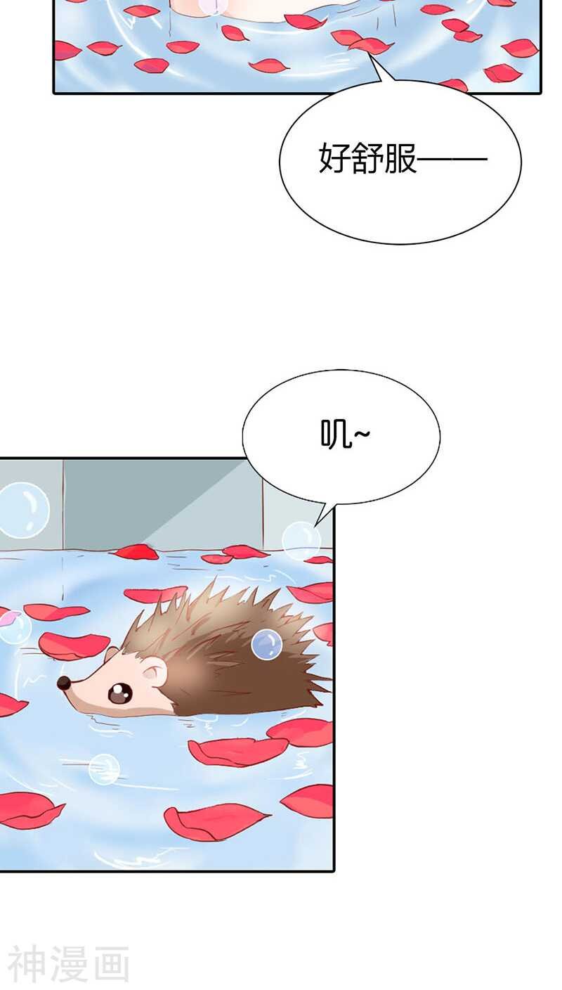 第33话 能不能给件衣服穿