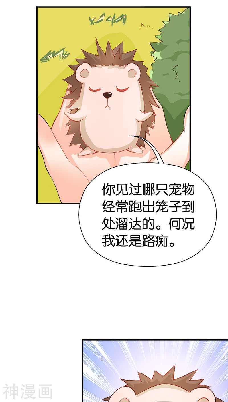 第41话 谁敢动我的人！