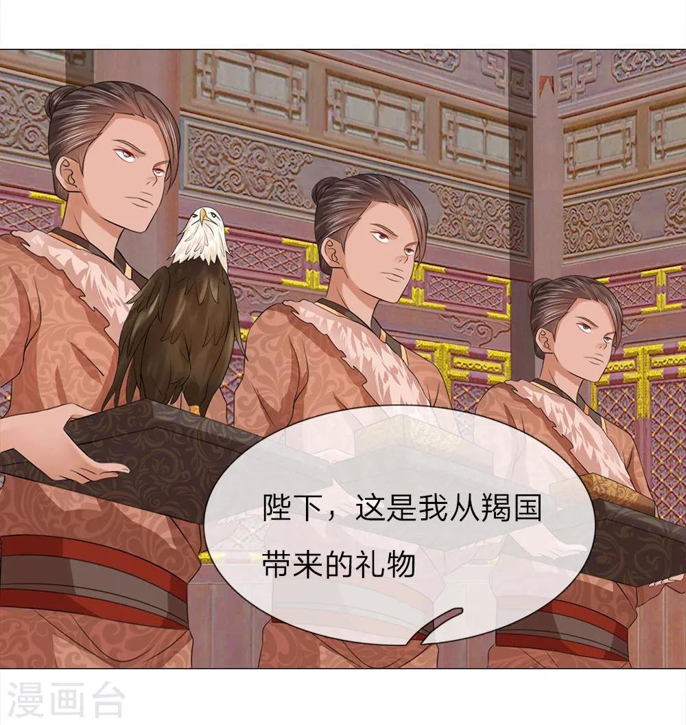 第78话 雄鹰展翅