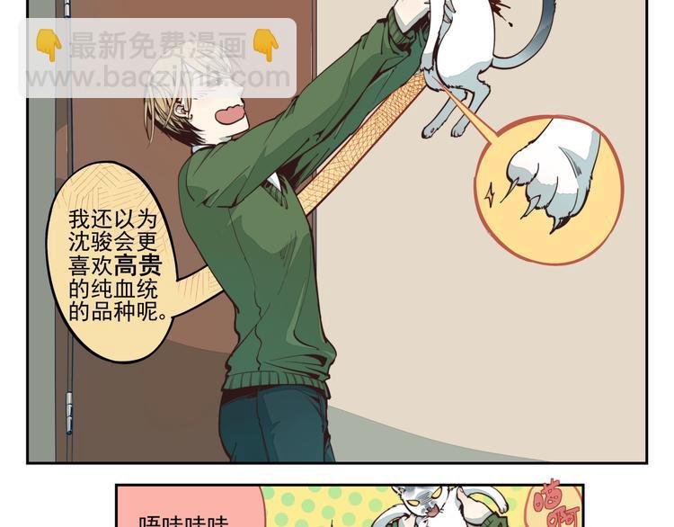 第3话 大写的危机？！