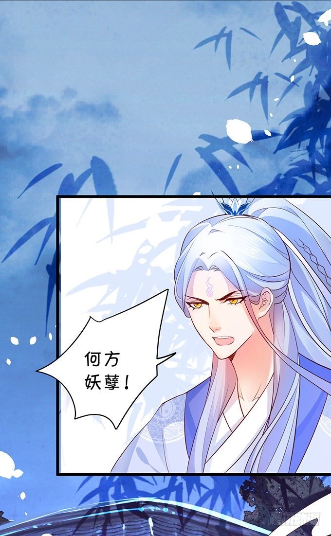 妖媚兔妖和美人道长~