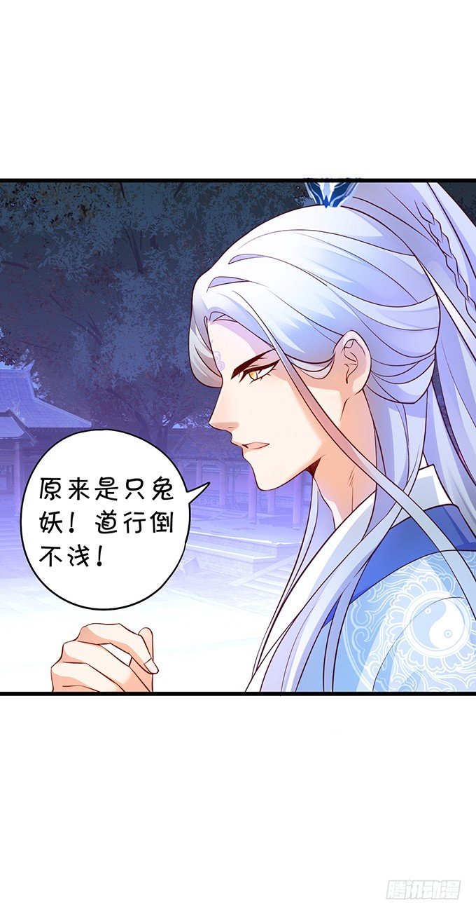 妖媚兔妖和美人道长~