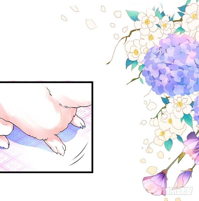 妖媚兔妖和美人道长~