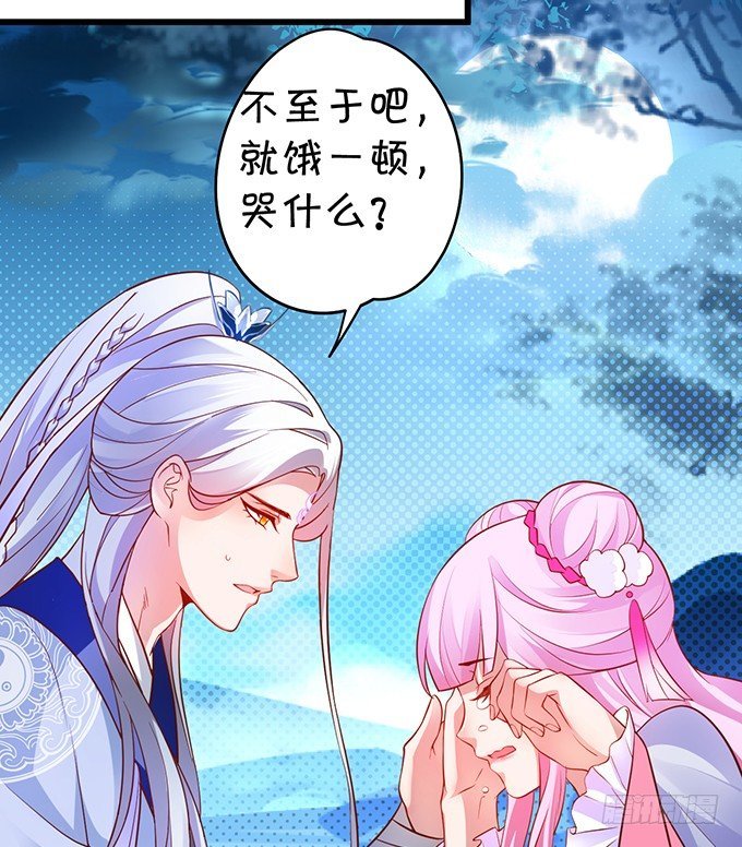 美人道长的霸气宠爱~