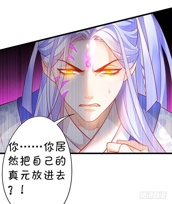 小兔子，你不能有事！